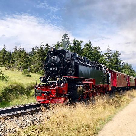 Fewo Fuchsbau Mit Dampfdusche #Kamin#Innenstadtnaehe#Netflix Von Harztraveler Bad Harzburg Ngoại thất bức ảnh