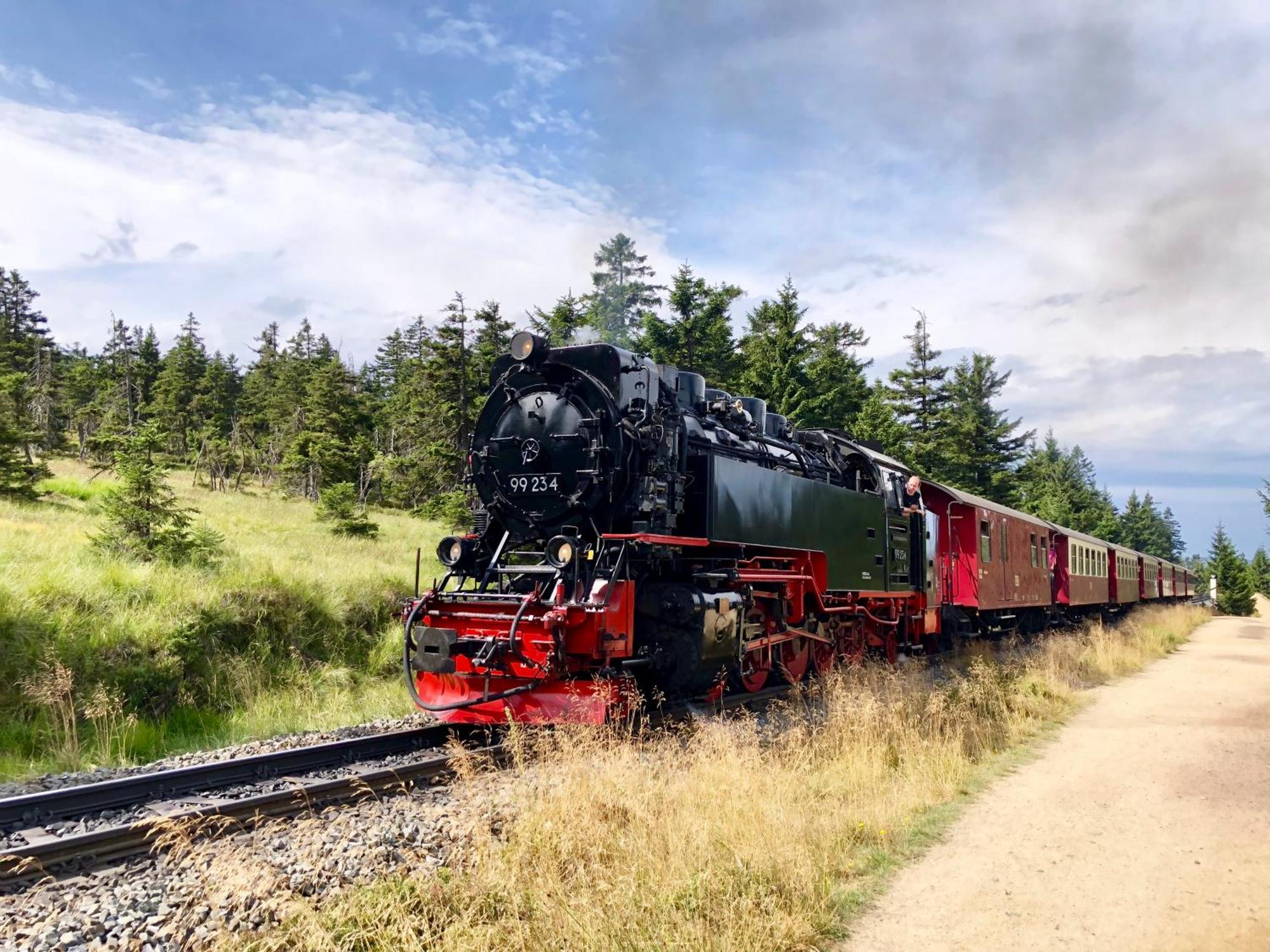 Fewo Fuchsbau Mit Dampfdusche #Kamin#Innenstadtnaehe#Netflix Von Harztraveler Bad Harzburg Ngoại thất bức ảnh